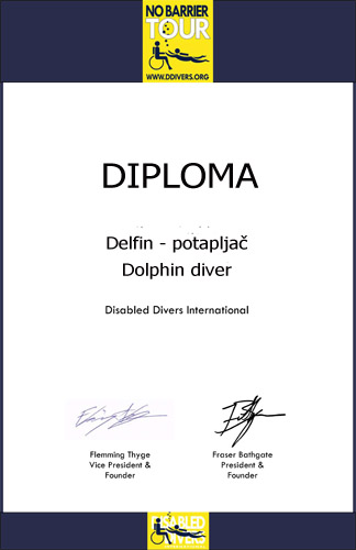 dolhin diver