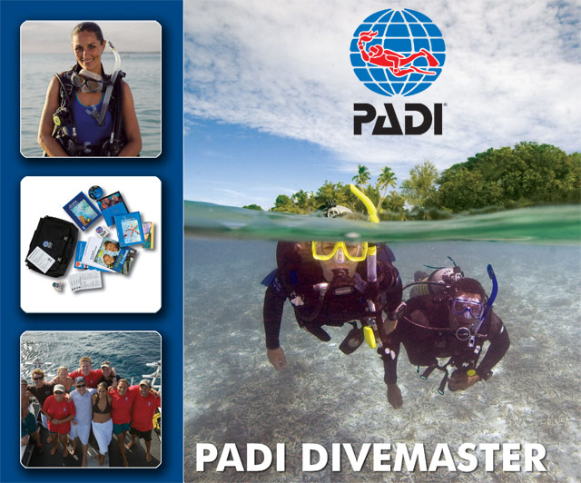 padi divemaster