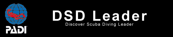padi dsd leader